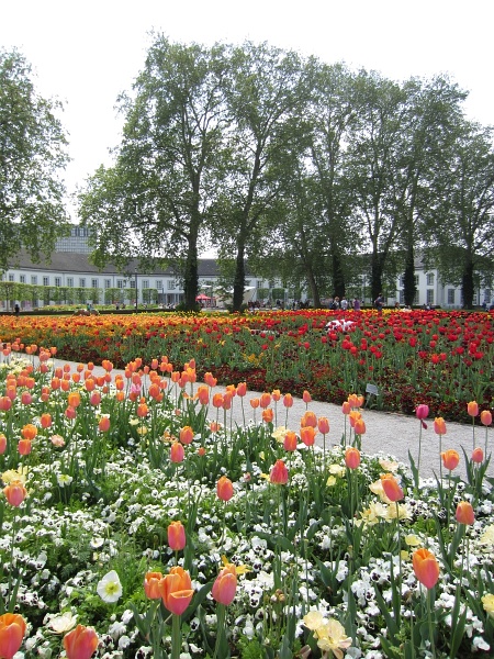 BUGA2011   172.jpg